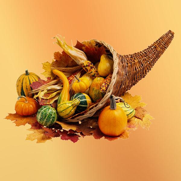 cornucopia