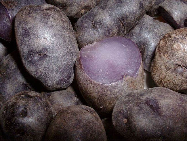Purple Potatoes from Peru