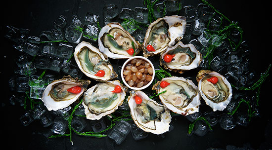 seafood - oysters