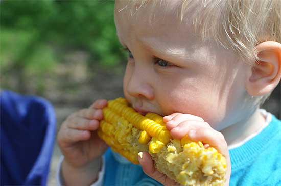 kids eating corn