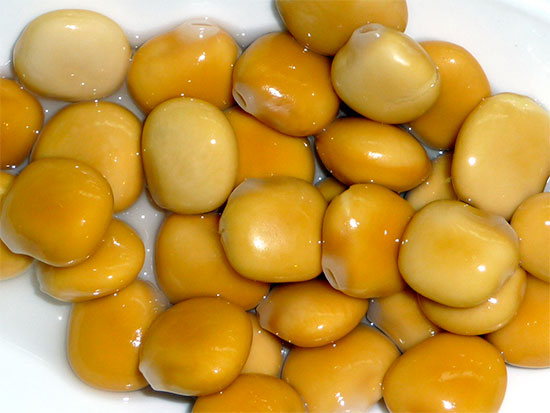 healthy ingredient - lupini beans