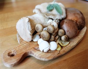 mushrooms are superfoods