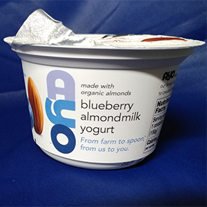 AYO blueberry almondmilk yogurt